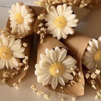 عرض محدود • مع التغليف • ديكور