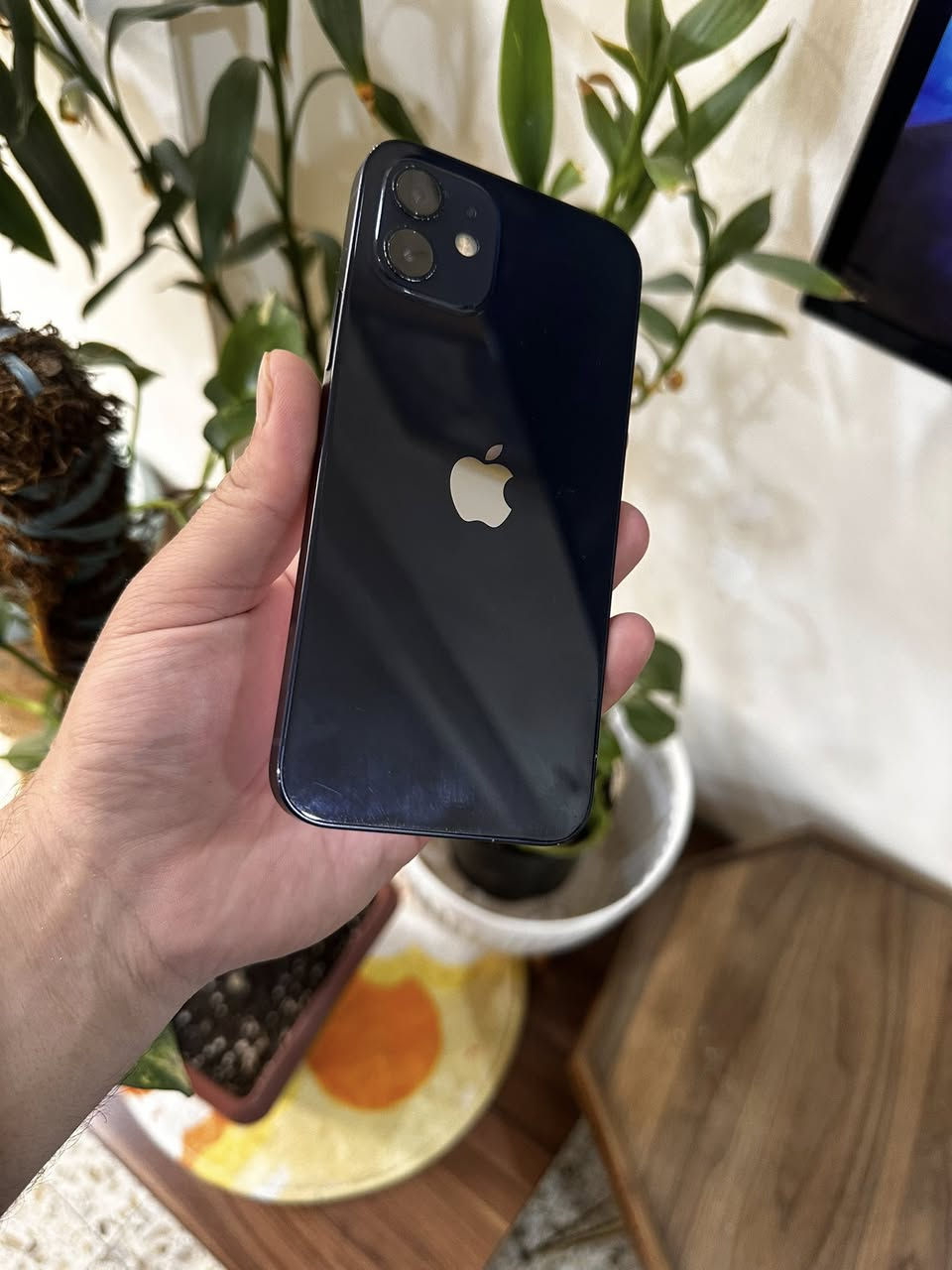 12 عادي بلاك اسود جهاز نضيف وتر بروف ميعبرًهوهً
حدثته وطلع مبدل شاشه بلعدادات كلشي بيه شغال 
وبيه فطر خفيف ممبدل بلكلاسه  ميبين بلصور خفيف كلش 
بطاريه 75 ذاكره 128 معبر هوه وتر بروف 
سعره كلش مناسب 
260 الف 
بغداد الدوره توصيل ماعندي تجي وتفحص وتاخذه كلشي شغال 
الفيس ايدي شغال بس مرات ميربط مره ومره 

رقمي بيهً وتساب ***********
بغداد الدوره او المنصور 
تفاصيله مكتوبه لحد يدخلي خاص اتصال
