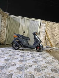 سكنس فحل • معدل • شغاله