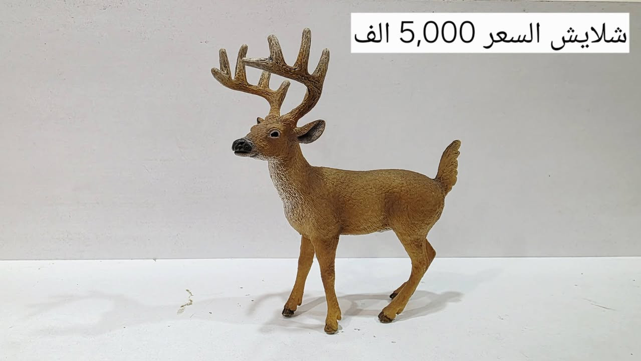 السلام عليكم
مجموهة حيوانات شلايش للبيع
كل قطعة وسعرها موجود على الصوره
موجود توصيل بغداد فقط
للحجز مراسله على الواتساب ***********
