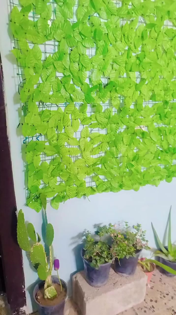 اغراض للبيع مع ديوان عشر أمتار باسعار مناسبه جدا


**إذا كنت صاحب هذا الإعلان وتريد حذفه لأي سبب، رجاءا أرسل رسالة إلى الدعم الفني**