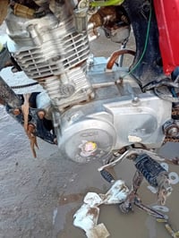 دراجة • للبيع • بيه مجال