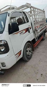 فحل ١٩ للبيع مكفوله رقم واسط بسمي مكاني بغداد سعر خابرني 07700361464