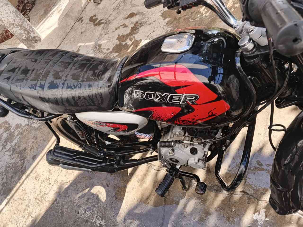 بوكسر 2023 مرقم للبيع
الدراجه نظيفه مال شركة مكفولة برغي مامفتوح
المكان حي العامل 
الاتصال و واتساب
***********
