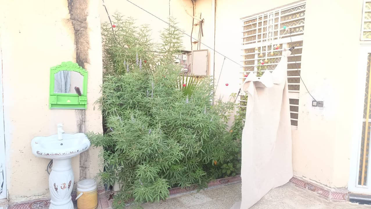 يا الله متاح للبيع مستعجل
بيت مساحه 200 متر طابو زراعي سند 25  إقرار محكمة 
مكان خلف جامعه العميد يبعد عن طريق النجف كربلاء 2 كم 
بيع مستعجل 80 وبي مجال 
***********
