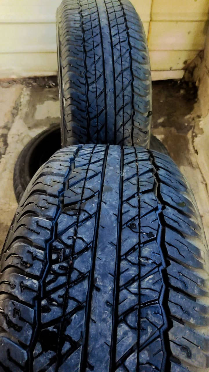 سلام عليكم
تخم تاير دلوب Dunlop 
المقاس 265/65R17 112S M+S
تويوتا برادو
تويوتا فورتشنر
تويوتا هايلوكس (بعض الفئات)
ميتسوبيشي باجيرو (بعض الفئات)
 نص عمر نضافه كما موضحا أمامكم 
 سعر 350الف وبيه مجال 
عنوان بغداد الكرخ


**إذا كنت صاحب هذا الإعلان وتريد حذفه لأي سبب، رجاءا أرسل رسالة إلى الدعم الفني**