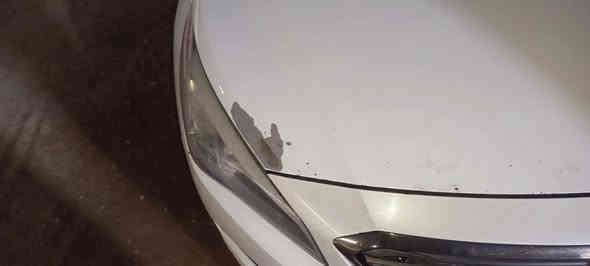 سنواتا  2015 كلين
وارد امريكي ضرره بالعراق بس جهة السائق راس البونيد تعديل بارد ولجامرلوغ مبدل ابلادي والباقي موضح بل صورها بالمنشور وللمعلموات اكثر اتصل
***********

السعر المطلوب 115
