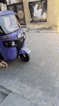 تكتك للبيع باجاج موديل 22 كفالة عامة لون بنفسجي اصل ممصبوغة بلادي نظيف...