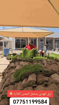 مميزون بما نقدم🍃🌱 🍁يتوفر لدينا كافة انواع الثيل الطبيعي . 🍁التوصيل لكا...