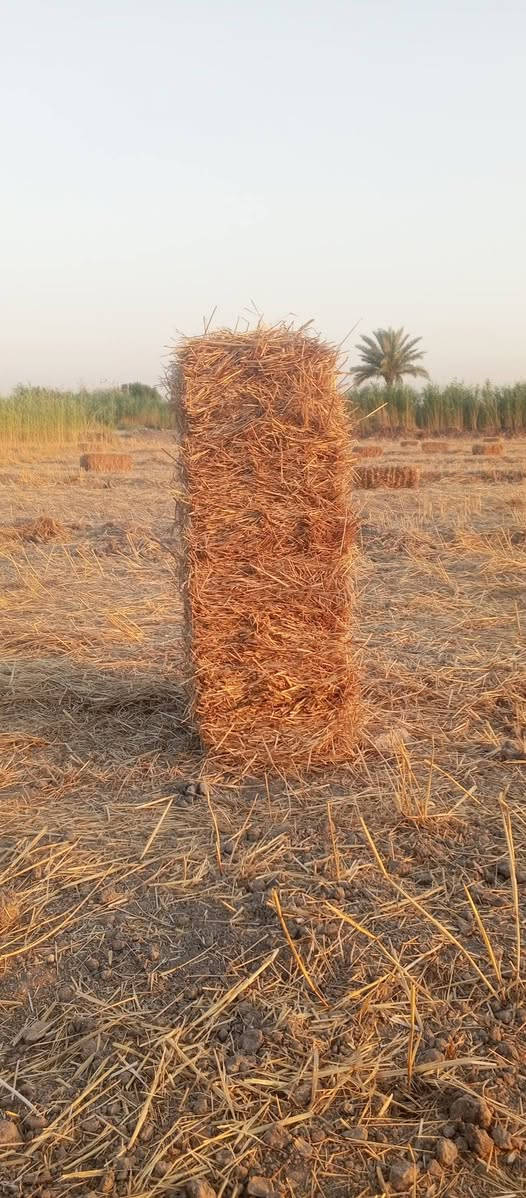 تبن للبيع
محاويل الكريعات 
***********
