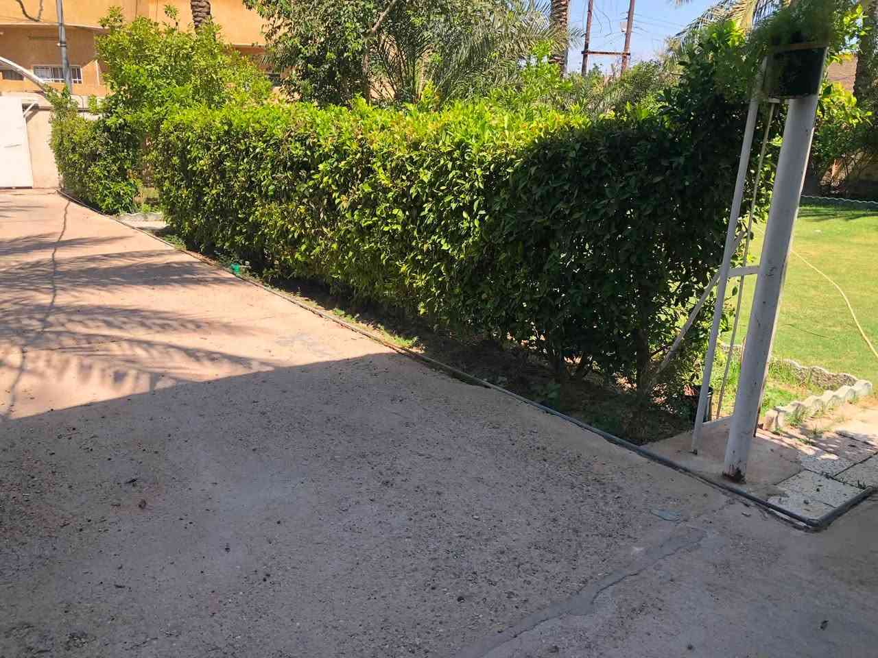 السلام عليكم ورحمة الله وبركاته
متوفر دار سكني في بغداد منطقة بوب الشام  قريب عن الشارع العام وعن السوك وعن جميع الكوادر التدريسية  المنطقه مؤهله ومتكامله من جميع الخدمات 
بناء ٢٠١٩ نضافه ./.٩٥
المساحه الكليه ١٨٧٥
واجه البيت ٢٥  نزال٧٥

الطابق الارضي متكون من ( كراج كبير -استقبال -هول-مطبخ حار +مطبخ بارد  -غرفتين-صحيات خارجيه وصحيات داخليه)

+ محمية بمساحة نزال ١٠متر وعرض ٤متر موفرهه حالياً لدجاج العرب 
وحديقه اماميه+حديقه خلفيه وكلا الحديقتين متكونات من زراعة جميع الحمضيات 

الطابق الثاني متكون من (ثلاث غرف-صحيات)
ومتكون كذلك من سطح بمساحه جداً كبيره
البيت مؤثث بلكامل تجي وشوف اثاثه ابره ماتنشال منه
السعر خاص 
او الاتصال على الرقم ***********
