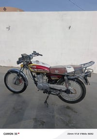 مراوس • تايكر 24 • ديالى سراجق