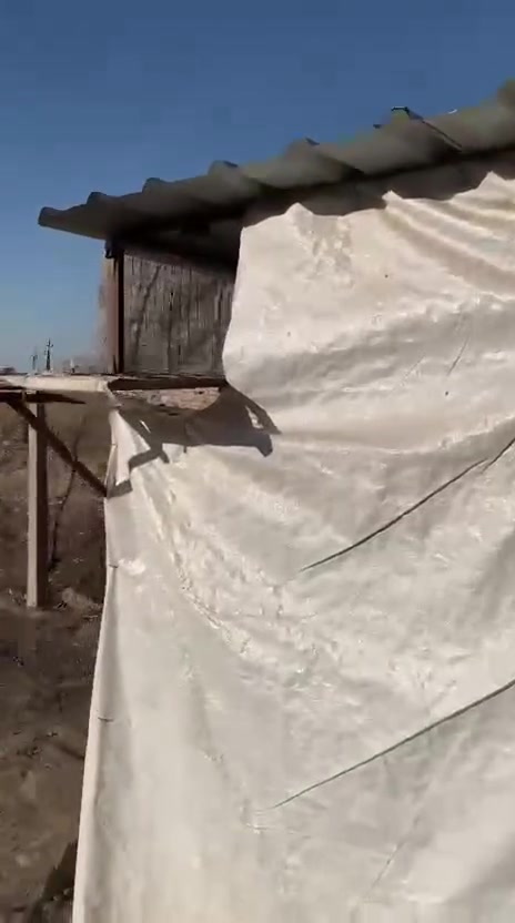 متاح قفص للبيع مكاني ناحية حمام العليل 
***********
