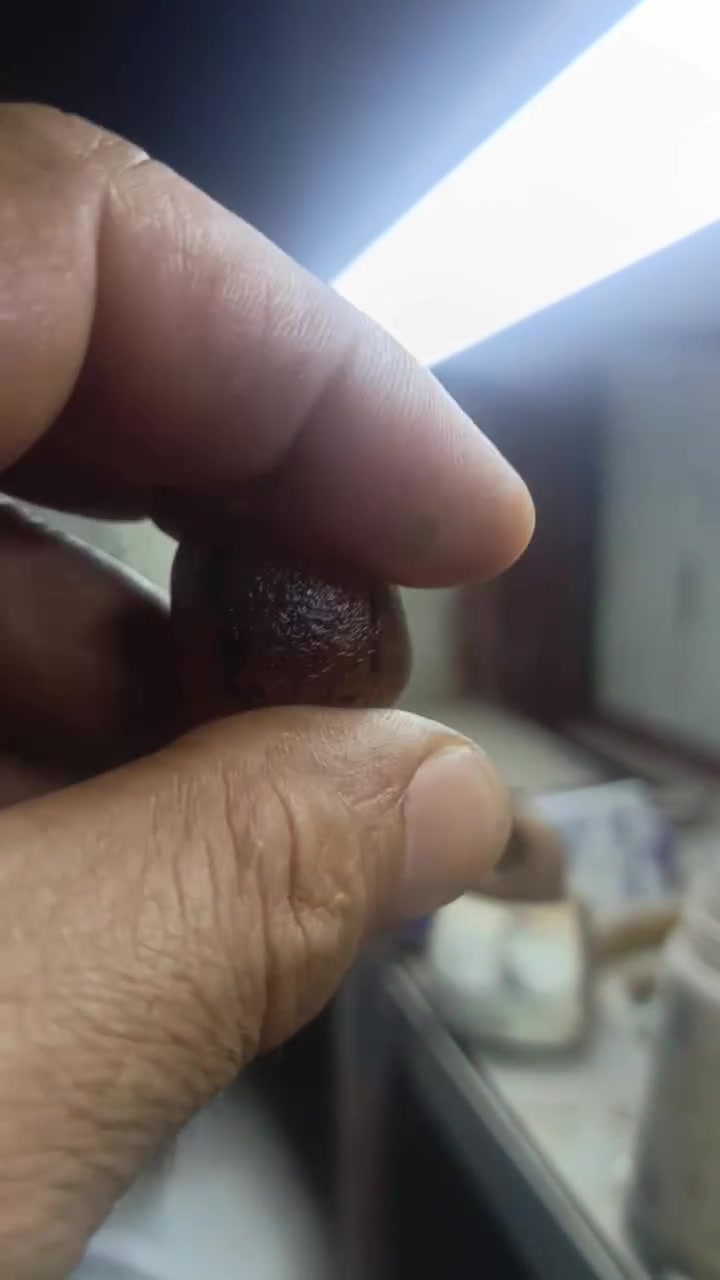 خامه سليماني مخطوط كلمه محمد رباني يوجدتوصيل


**إذا كنت صاحب هذا الإعلان وتريد حذفه لأي سبب، رجاءا أرسل رسالة إلى الدعم الفني**
