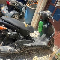 سكنس • شغاله • ٢٥٠