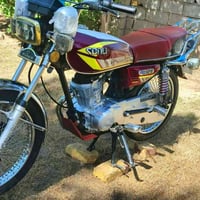 دراجة 24 • مع أوراق • واتساب