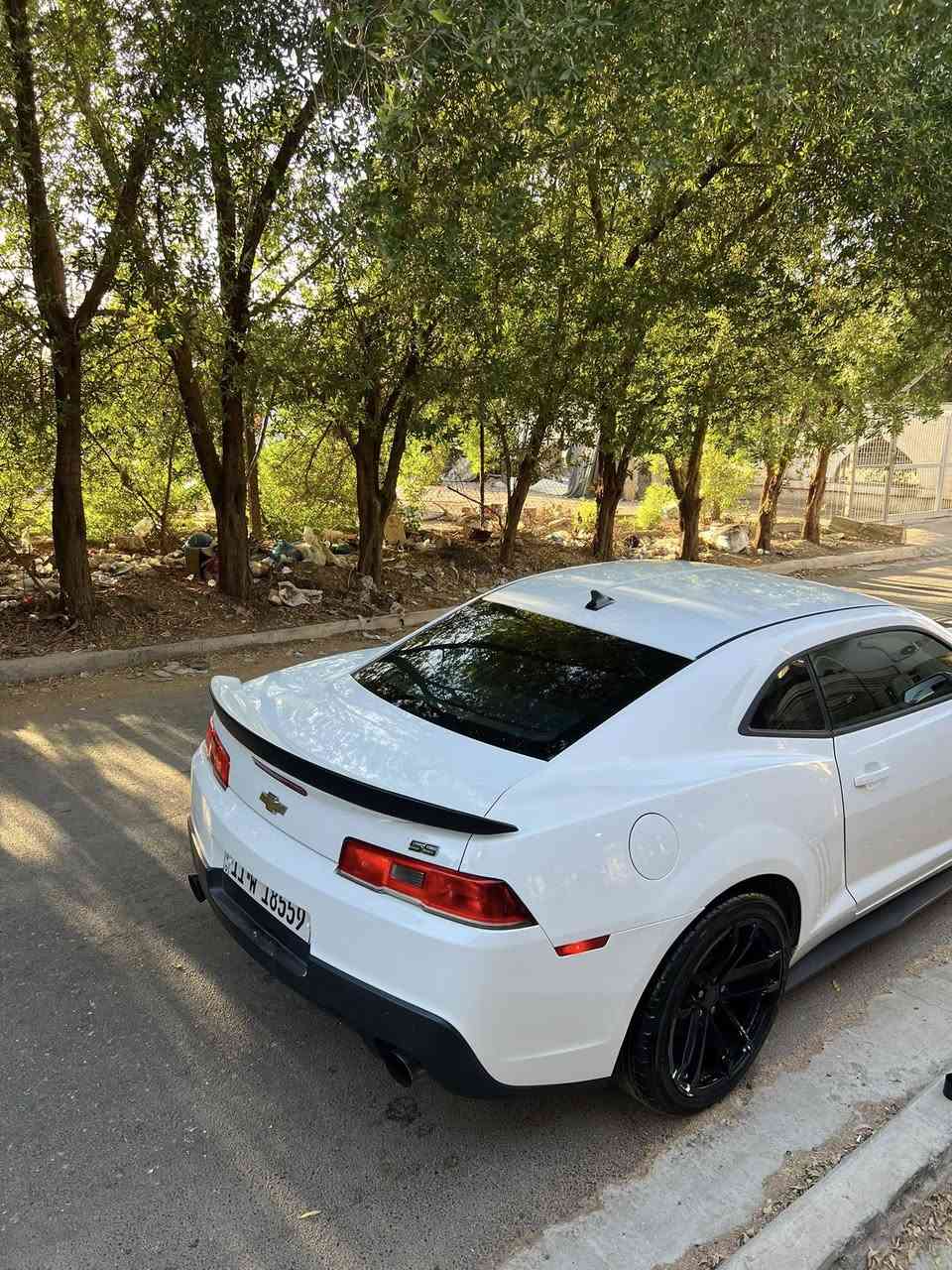 كمارو ٢٠١٤  للبيع
حادث مالته جاملغ امامي يمين وبيها صبغ ٣ قطع 

رقم بغداد الجديد

سنويه لحد ٢٠٢٩

مكينه جديده قبل يومين شديتها 

نوزلات جدد 

صدر امامي جديد

تايرات بحاله ممتازه 

سعر ١٠٥ بيها مجال من تيجي وتشوف سياره

مكاني اليرموك الداخليه

***********
