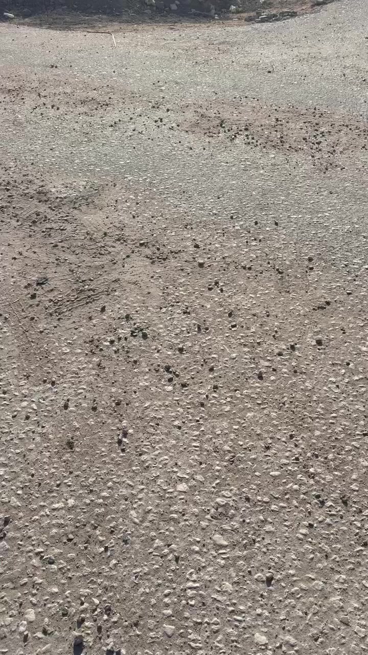 قطعة للبيع خلف المنحل  ركن سند المساحة 250 متر
***********
