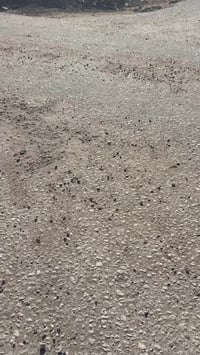 خلف المنحل • ركن سند • ٢٥٠م