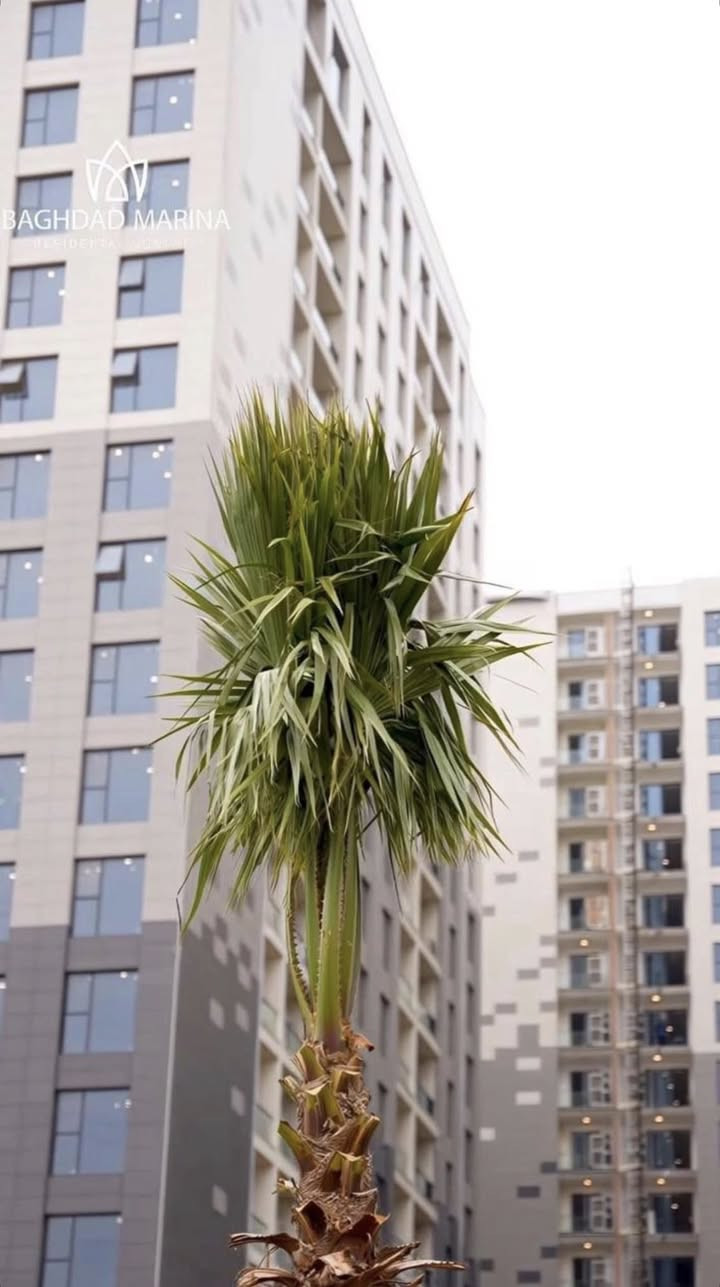 السلام عليكم
عروض مجمع مارينا السكني🌃

شقه للبيع 

العنوان/ مجمع مارينا السكني 
المساحه / 180م 
اطلاله / اطلاله خارجيه 
عدد الغرف 3 
التسليم شهر الرابع 

شقة للبيع 

العنوان/  مجمع مارينا السكني 
المساحة/ 145م 
-عدد الغرف / 2
عدد الحمامات /3
-اطلالة /خارجيه 
صاله كبيرة وسبالت VRF
كل الشقة 
-التسليم / شهر الرابع

شقة للبيع 

العنوان/  مجمع مارينا السكني 
المساحة/ 145م
اطلالة / داخلية 
-عدد الغرف /  2
-عدد الحمامات / 3
صالة مطبخ مجهز بالكامل مع غرفة غسيل 
-التسليم /  مباشر

شقة  للبيع 

العنوان/  مجمع مارينا 
المساحة/ 180م 
-عدد الغرف / 3 غرف تحتوي على بالكونات 
عدد الحمامات / 3
-اطلالة / على البنايه الجانبيه والمجسر 
مجهزة بتبريد ومطبخ كامل 
-التسليم / جاهزة للسكن 

شقة للبيع 

العنوان/  مجمع مارينا السكني 
المساحة/ 145م
اطلالة / داخلية 
-عدد الغرف /  2
-عدد الحمامات / 3
صالة مطبخ مجهز بالكامل مع غرفة غسيل 
-التسليم /  مباشر

شقة للبيع 
‏
‏العنوان/ مجمع مارينا السكني 
‏المساحة/171
‏-عدد الغرف   / 3
‏- حمامات / 3
‏-اطلالة  / ركن نصف اطلالة بوليفارد 
‏-حالة الشقة /  زيرو 
‏-التسليم  / مباشر
‏-تفاصيل / بالكون + سبالت + كاونترات مطبخ + طباخ ومرشحة

‏

للاستفسار الاتصال على الرقم 
***********📞

نستقبل كافة عروضكم العقارية في المجمعات الاستثمارية للبيع و الايجار 

شركة حلم بغداد العقارية 🏢
