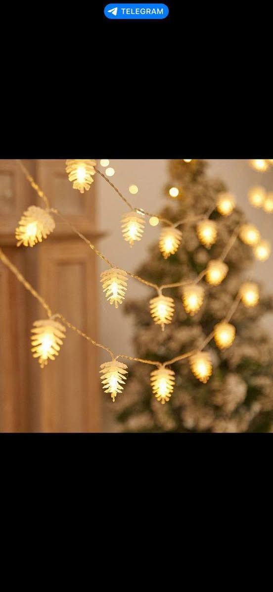 مصابيح رمضانيه سعر 15الف بس


**إذا كنت صاحب هذا الإعلان وتريد حذفه لأي سبب، رجاءا أرسل رسالة إلى الدعم الفني**