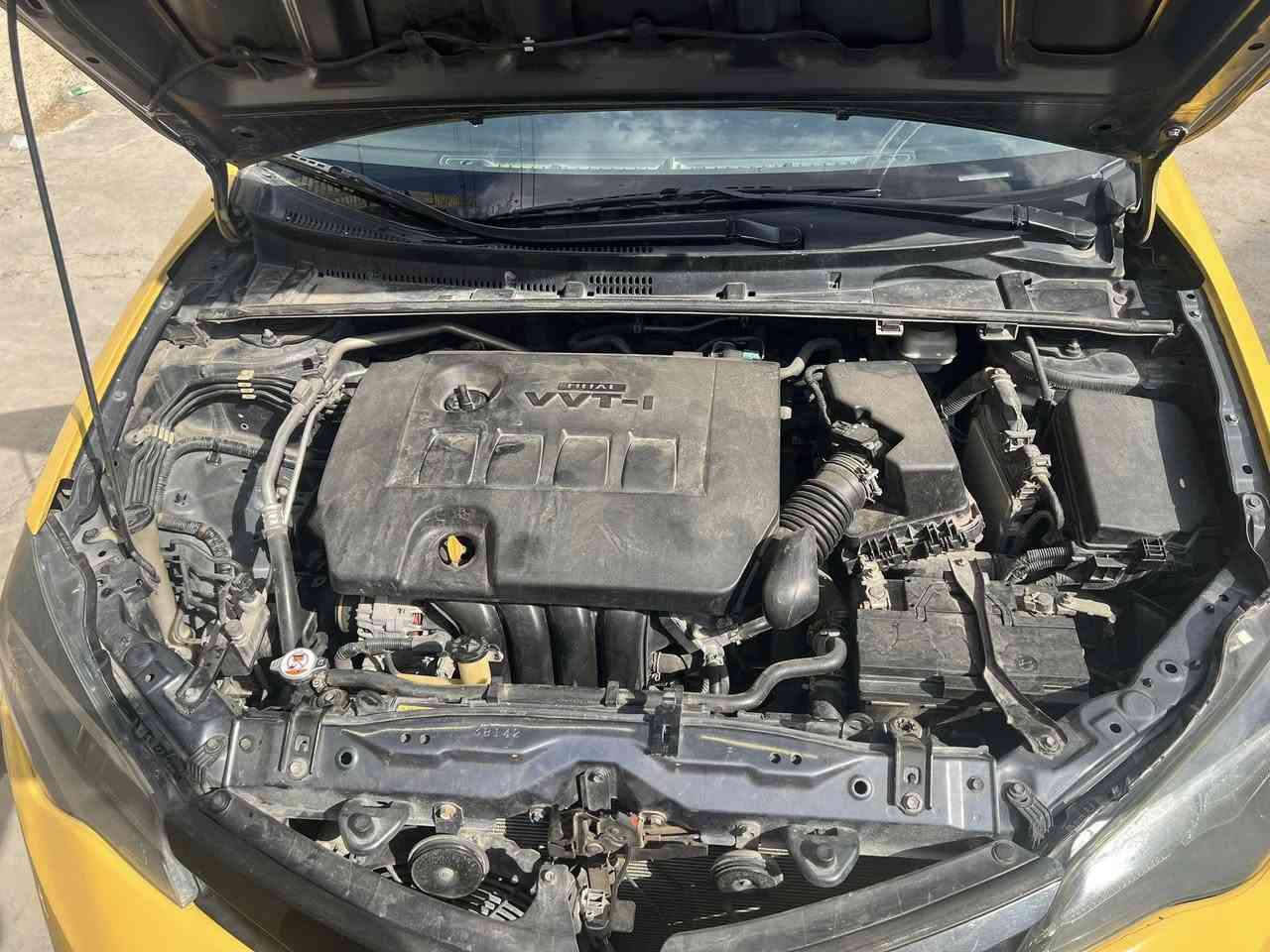 ساره كورله مديل ١٩ رقم بغداد.  ًًًًًً.     رقم ت *********** مكلف بنشر.    عنوان بغداد  الفضيليه
