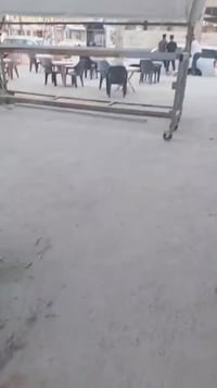 استند للكَاربت • ٥ قطع • ٤٫٤×٣م