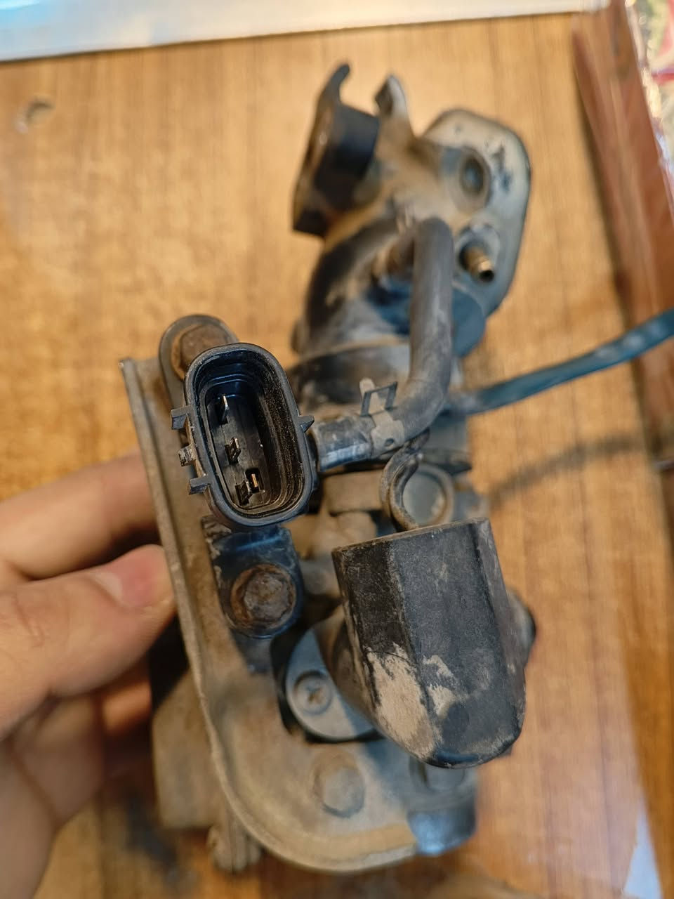 السلام عليكم 
جويتر ثعلب كامل مال رمبة بلادي  للبيع
السعر 60 الف
مكاني بغداد الحرية
***********
