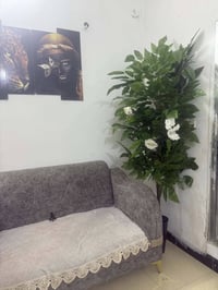 📞 07709633193 🔥 للبيع أغراض صالون بحالة ممتازة 🔥  🪑 الأسود 75 (بيه مجا...