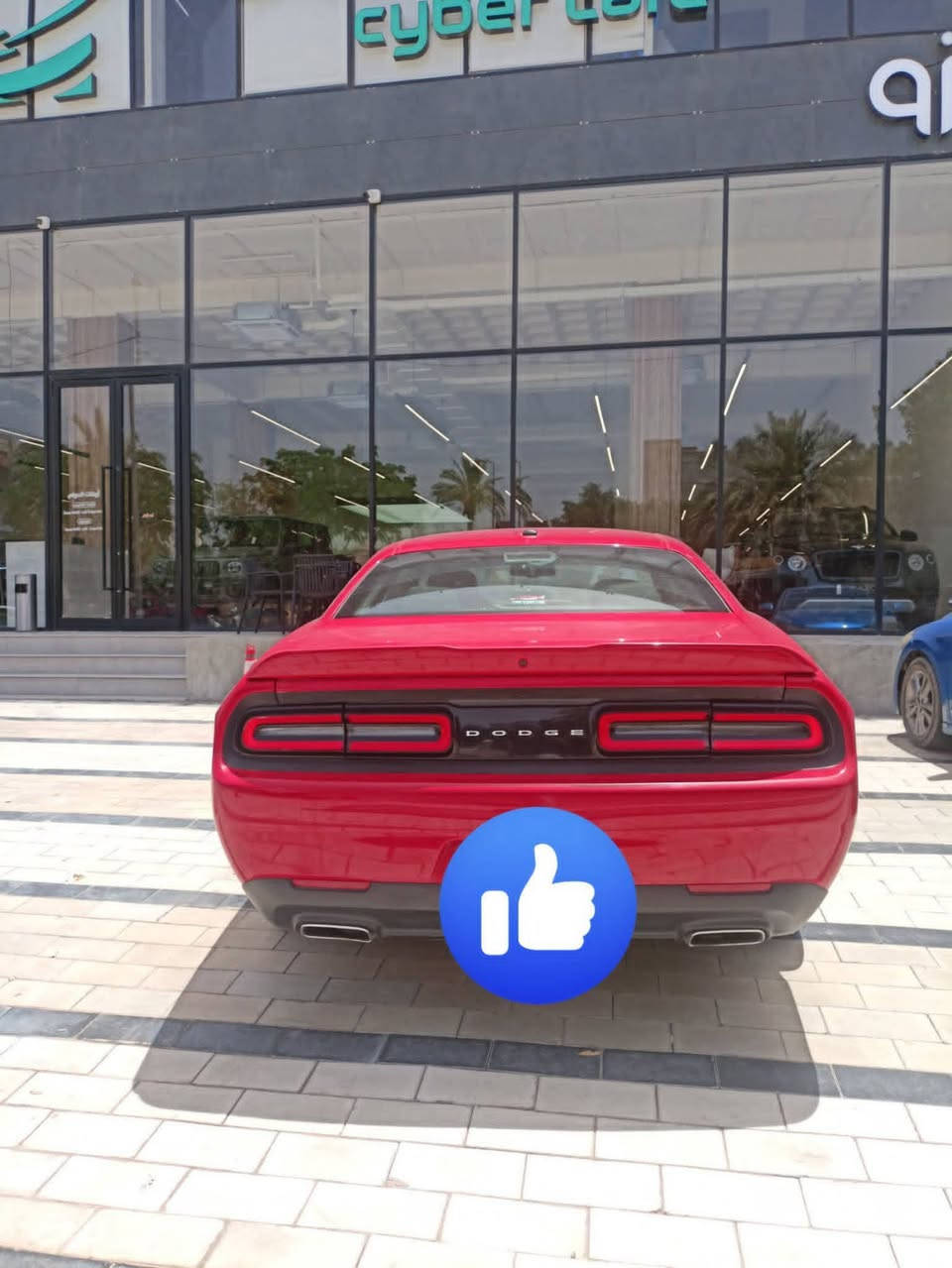 جالنجر 2022 gt
ماشية 85 الف كيلو 

السيارة مكفولة من كلشي 

(حادثة بنيد وجاملغ حادث سطحي )

(صور سونار موجودة)

***********6

موجود واتساب
150$
