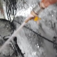 ستوته • موديل ١٤ • اوراق اصولي