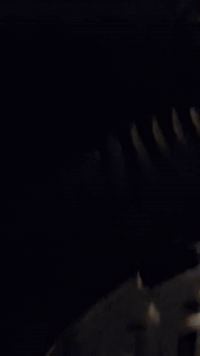 ستوتة للبيع 2015حلو مرتبة كهرايات شغالة مكينة بكل وقت نكرة سلف هندر شغال اكسل جديدسعر650وبيهة مجال***********
