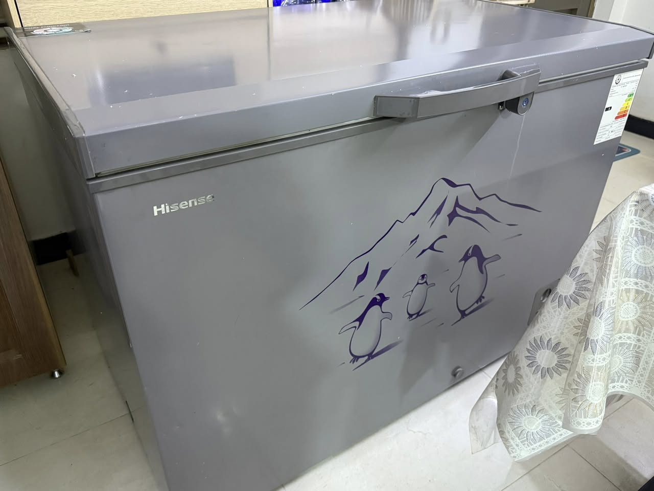 مجمدة هايننز اخت الجديدة كلش نظيفه


**إذا كنت صاحب هذا الإعلان وتريد حذفه لأي سبب، رجاءا أرسل رسالة إلى الدعم الفني**