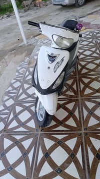 دراجة ماكس منغولي • مكينة ٥٥ • سوك الشيوخ