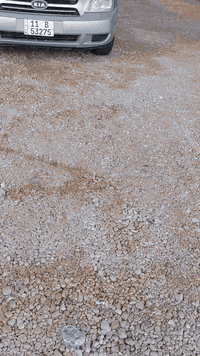 السلام عليكم كياء سيدونا للبيع مديل 2007 بيه باب  السايق صبغ بسمي ***********
