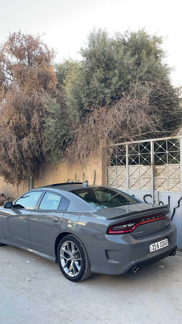 جارجر GT PLUS مواصفات البلاص معروفة  وارد كندي موديل 2019 صفر داخلة العراق 

هنا صار بيها قطعتين وشويه بارد بلجامرلغ الخلفي بدون دواخل 
اللون سمنتي 
السيارة فول فول عدا رادار امامي 
سلايد
 كشنات شامو تدفئة تبريد خزن وكشنات خلفية تدفئة ستيرن تدفئه 
رادار مرايا نقاط عمياء 

مكان السيارة كركوك
للاستفسار ***********
