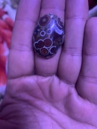 داوودي قديم • صياغة ثقيلة • زيونه بغداد