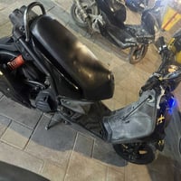 سكنس جبلي • جديدة • أوراق كاملة