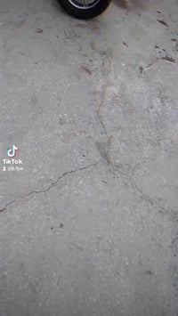 ماكس عدلة • للبيع • شوفت عينكم