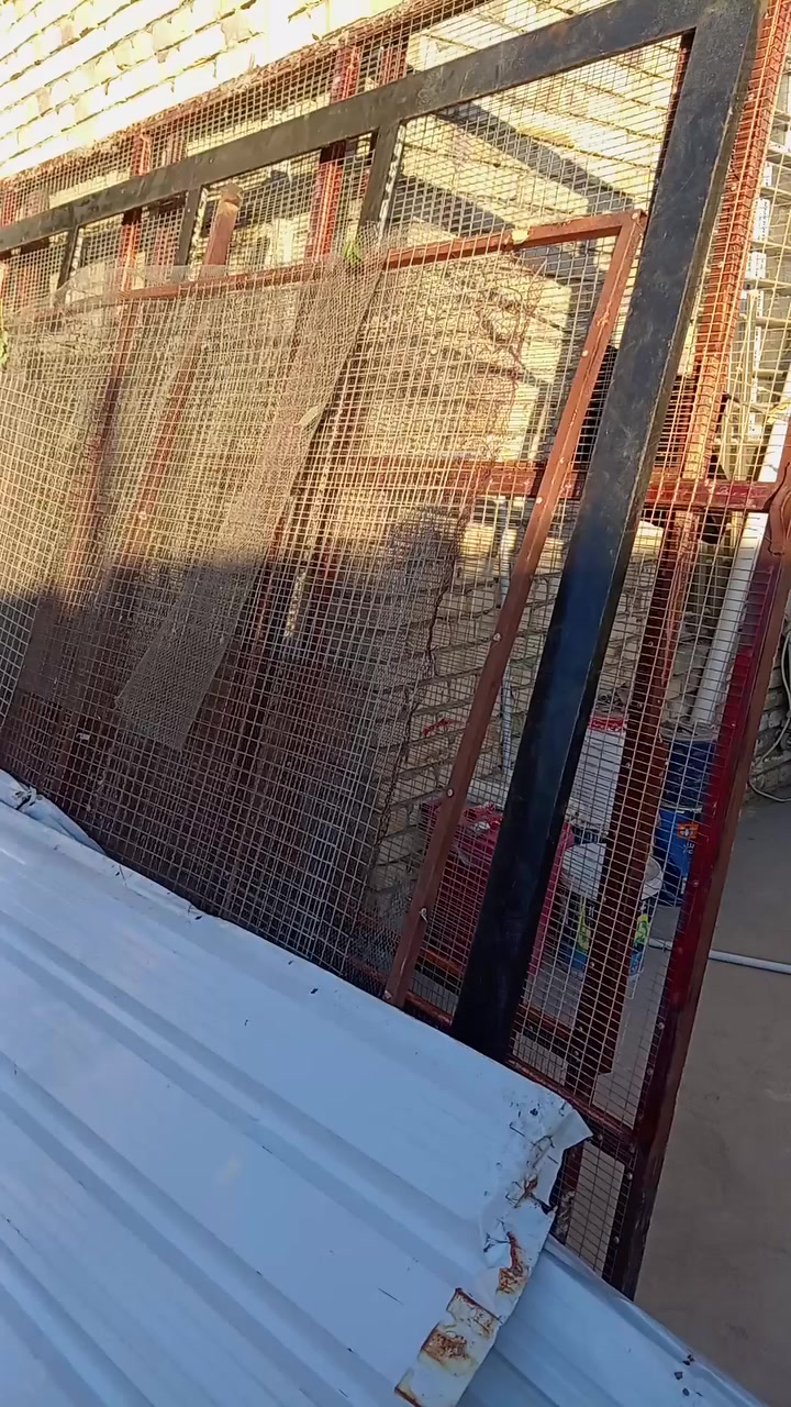 السلام عليكم للبيع محميه مال طيور السعر ٤٥٠ بيها مجال  للاستفسار *********** حله قضاء القاسم حي العسكري
