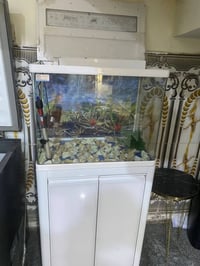 البصرة • حوض سمك • جديد نضيف