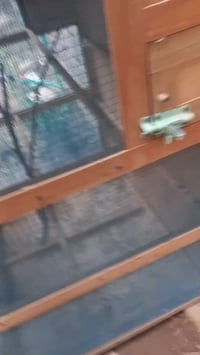 خانة بلابل • القرنه مزيرعه • ارتفاع ١٢٠