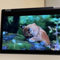 Dell Latitude 3310 • شاشة لمس 13بوصة • i5 جيل8 8GB