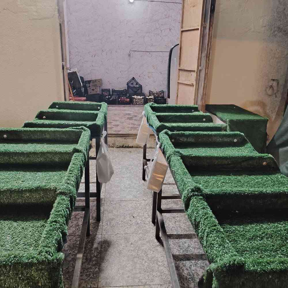 ميازه مخضر للبيع عدد ٤ السعر ٢٥٠ بيهن مجال

طول متر ونص عدد  ٢

طول متر عدد  ٢

العنوان / ميسان حي الإمام الصادق ع ( الرفاق سابقاً )
للشراء التواصل عبر الخاص أو الاتصال
*********** عمارة, ميسان
