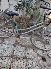 باسكل ٢٦ • مركز الديوانية • موجود