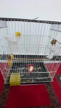 للاستفسار الاتصال على الرقم 07890238170