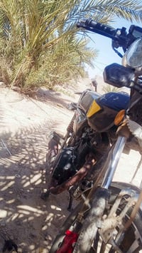 سفانه • ٢٠٢٥ • اوراق اصولي