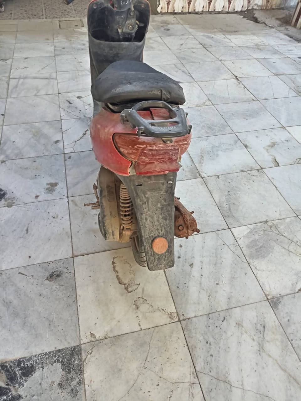 عصفوري للبيع كايمه قبل 5 ايام كامت ابيع عل هلوضعيه السعر 60 بني منصور ***********
