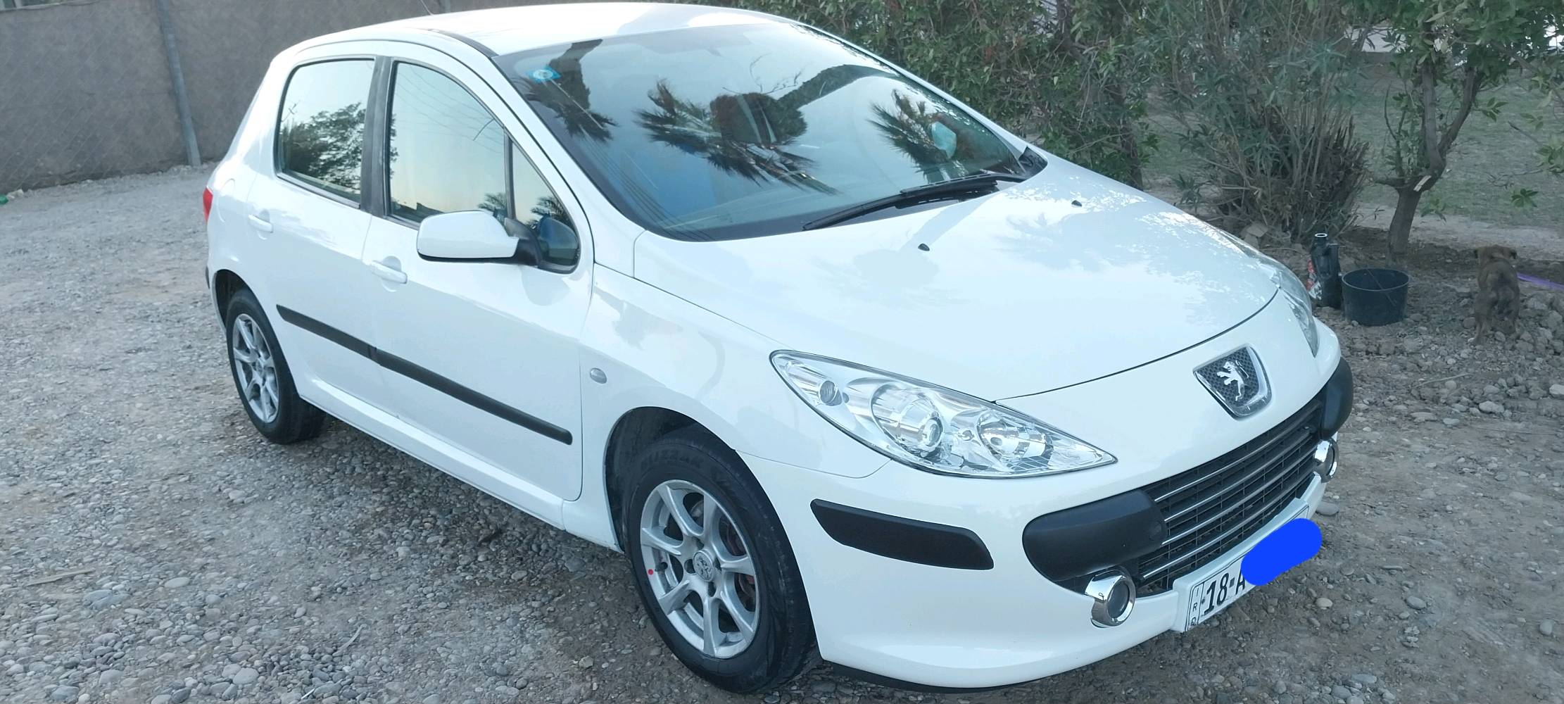 بيجو ٣٠٧ موديل ٢٠٠٦ رقم بابل بأسمي تحويلها بغداد رقم دولي جديد هزه جديدة شادلها كير ومكينة مال حاوية اخو الجديد صدر امامي وخلفي جديد نقصها فقط التبريد 
مكاني بغداد السعر ٥٥ وبيها مجال لان مستعجل على البيع 