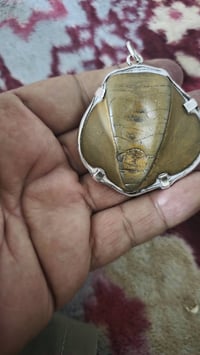 اكسسوار • وصف ناقص